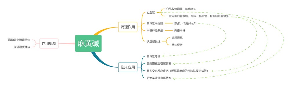 [思维导图]--传出神经系统