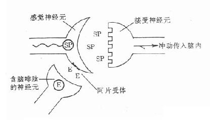 12001.jpg (16997 字节)