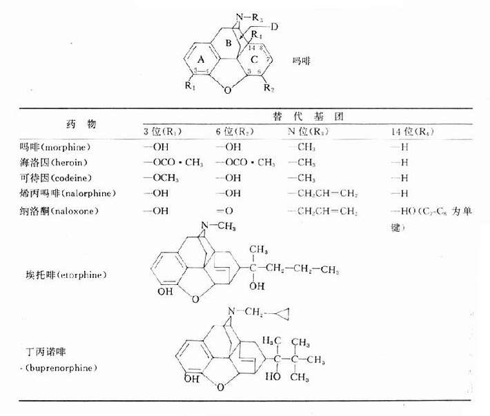 11801.jpg (55626 字节)