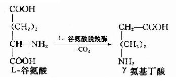 三,脱羧基作用