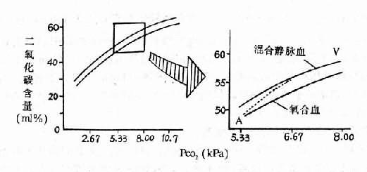 （二）PaO<sub>2</sub>下降而Paco<sub>2</sub>变动不大