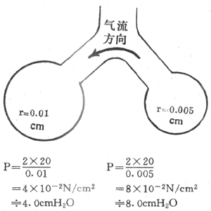 肺泡表面张力方向图片