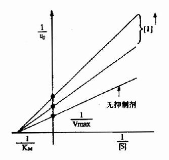 非竞争性抑制