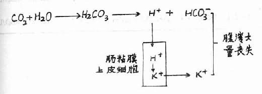 四、K<sup>+</sup>代谢与酸碱平衡障碍之间的关系