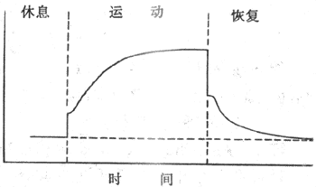 运动时的肺通气量变化