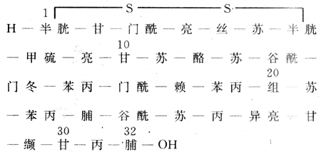 人降钙素的化学结构