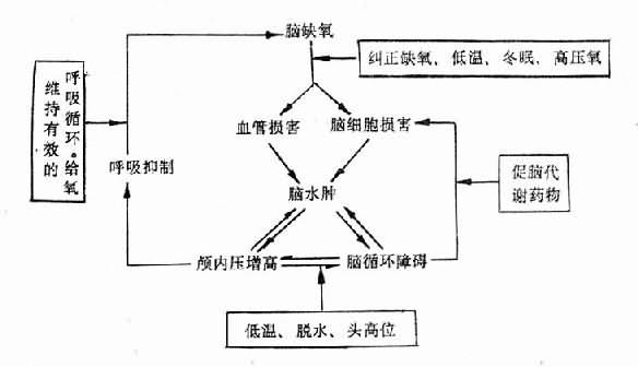 脑水肿时的恶性循环