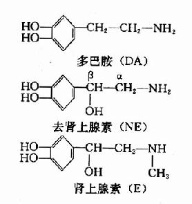 儿茶酚结构图片