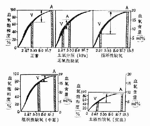 各型缺氧的血氧变化特点