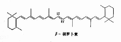 1.维生素A