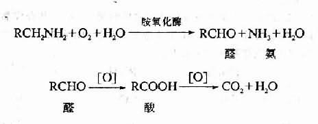 （一）解毒功能降低