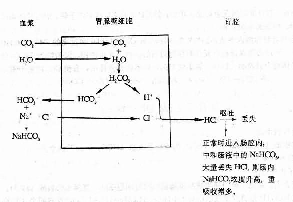 一、代谢性碱中毒