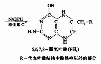 甲烯结构简式图片