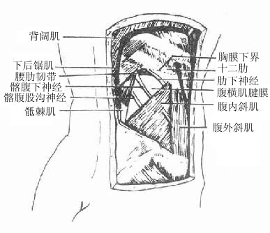 腰上三角