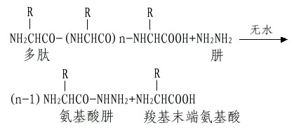 蛋白质一级结构的测定方法