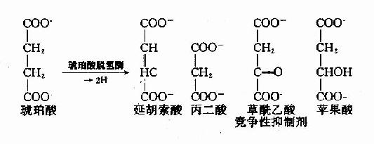 五、抑制剂对反应速度的影响