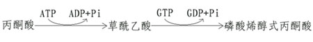 (一)由丙酮酸激酶催化的逆反应是由两步反应来完成的。