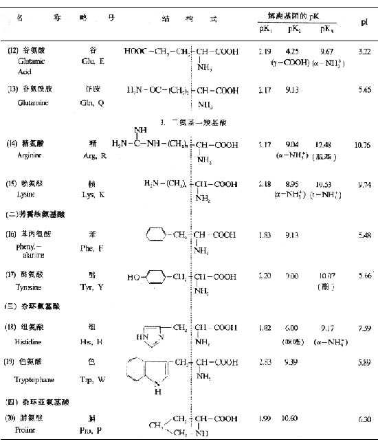 氨基酸的分类