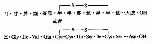 第二节　蛋白质分子中氨基酸的连接方式