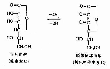 二、维素素C和P