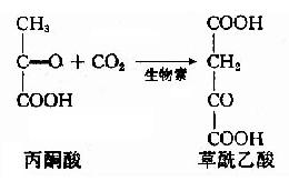 草酰乙酸甲酯结构式图片