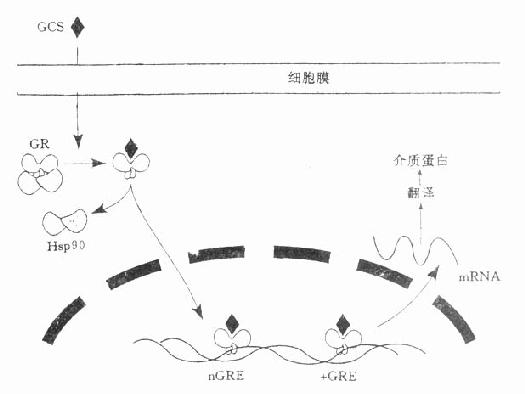 25301.jpg (24321 字节)