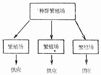 繁殖场较多时，为避免各繁殖之间产生隔离生产的方法