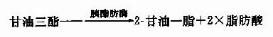 二、脂类的消化和吸收