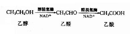 (一)氧化反应