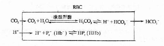 二、呼吸性酸中毒