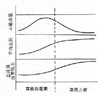 原发性高血压时血液动力学的改变