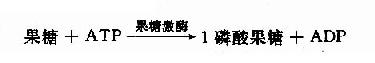 五、其它单糖的酵解