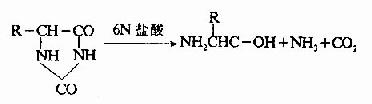 蛋白质一级结构的测定方法