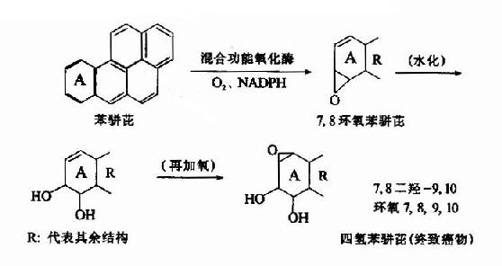 (四)结合反应