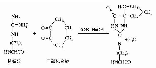 蛋白质一级结构的测定方法