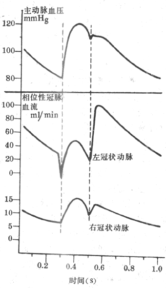 一个心动周期中左、右冠状动脉血流变化情况